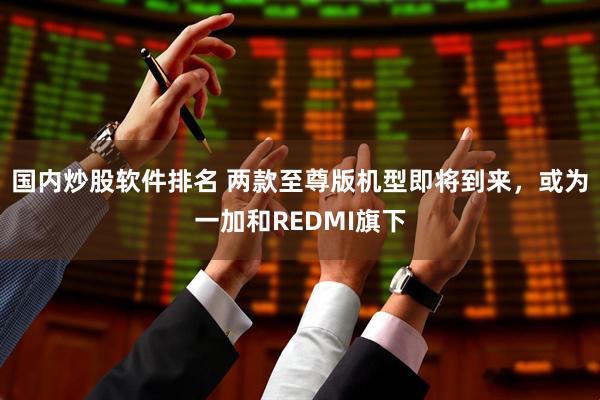 国内炒股软件排名 两款至尊版机型即将到来，或为一加和REDMI旗下