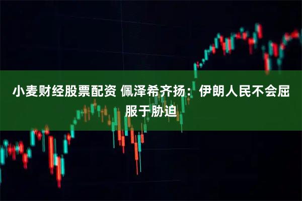 小麦财经股票配资 佩泽希齐扬：伊朗人民不会屈服于胁迫