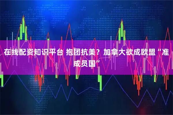 在线配资知识平台 抱团抗美?加拿大欲成欧盟“准成员国”